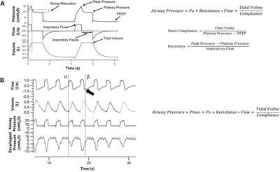 Lung Mechanics Over the Century: From Bench to Bedside and Back to Bench